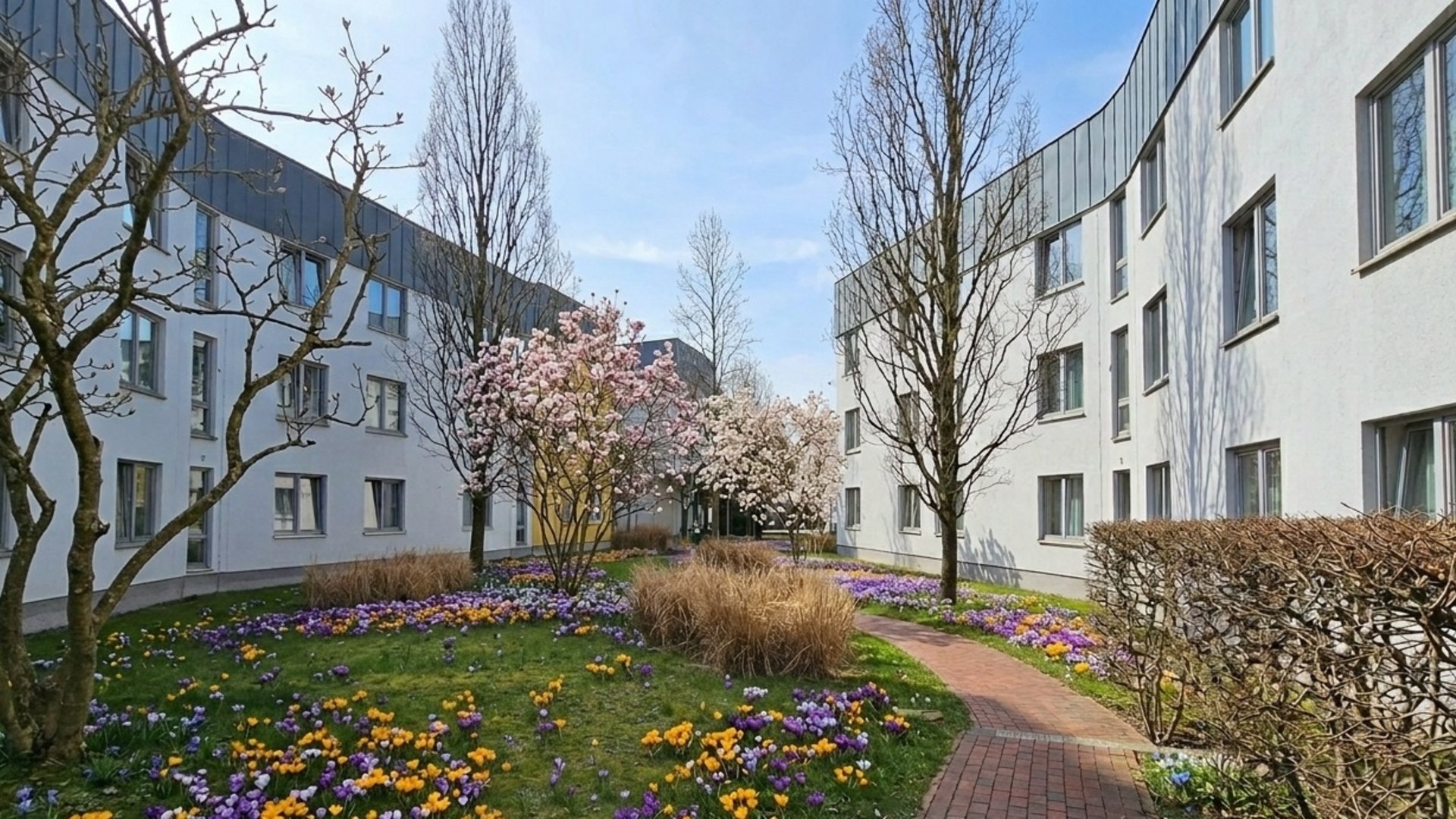 Median Hotel Hannover Lehrte Blühender Garten mit bunten Blumen zwischen weißen Wohngebäuden